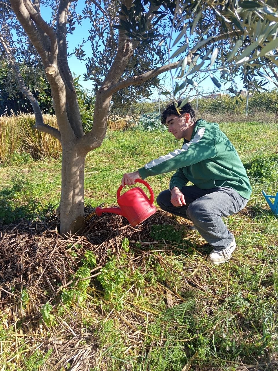 Cleument tareas riego en la Chandra