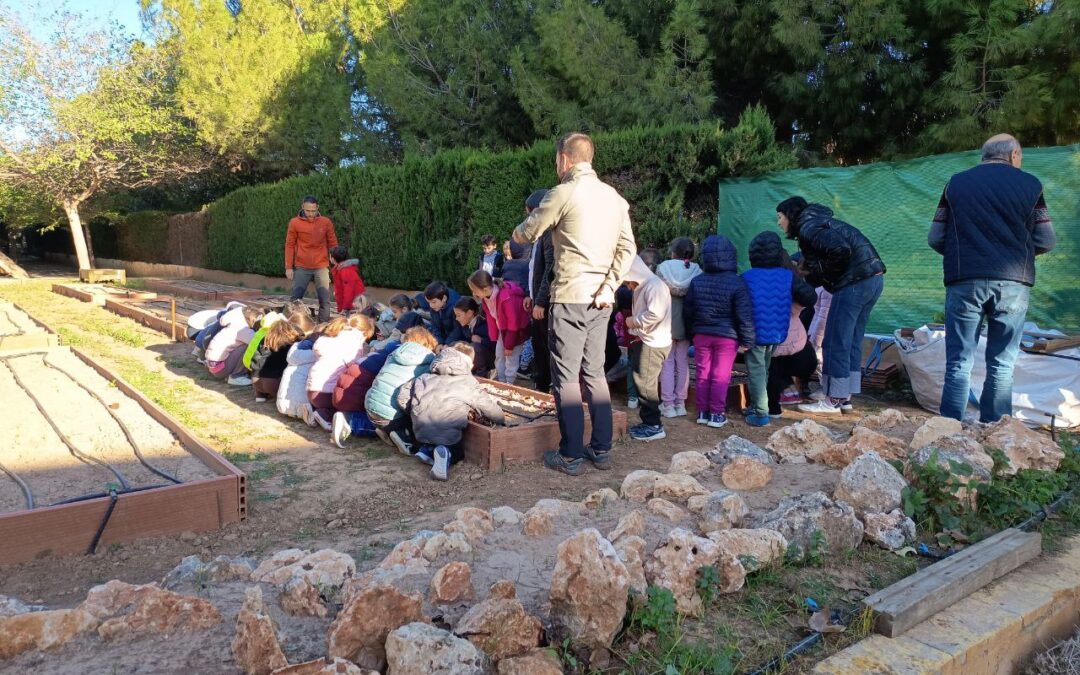 ¿Qué es la educación agroambiental? Sembrar conciencia ecosocial desde l’Horta Sud.