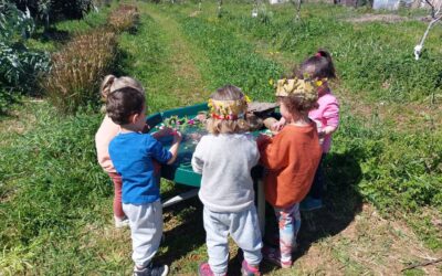 Cómo transformar un huerto en un oasis de aprendizaje ecosocial