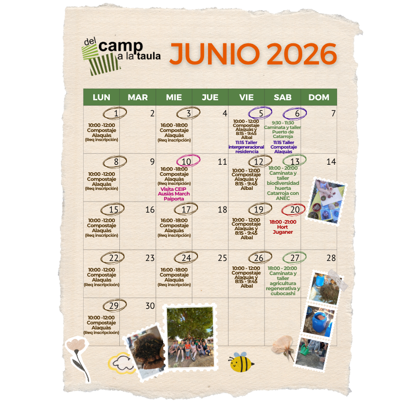 CALENDARIO JUNIO 2026 web