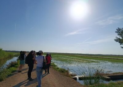 caminatas narrativas social power arrozales