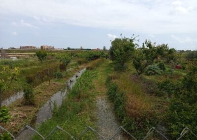 anecs agricultura regenerativa